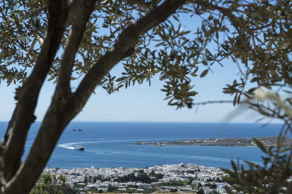 Olive Tree House In Parikia Βίλα Πάρος Εξωτερικό φωτογραφία