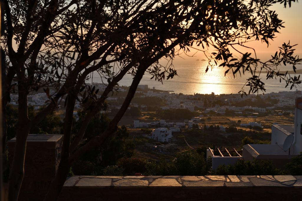 Olive Tree House In Parikia Βίλα Πάρος Εξωτερικό φωτογραφία